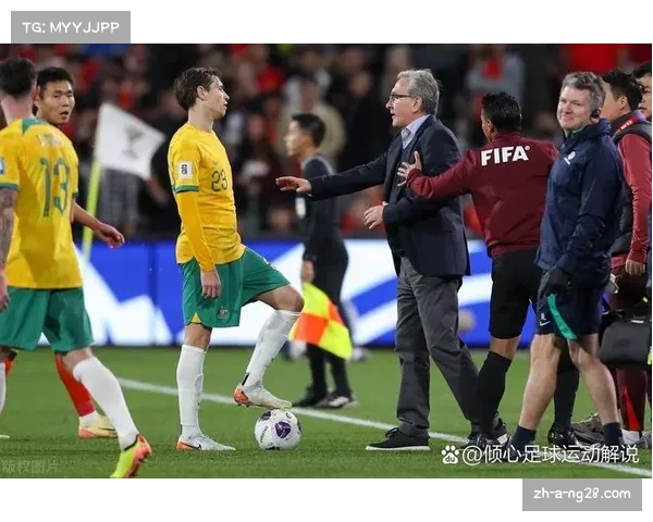 2014年世界杯巴西门将关键时刻回顾与全场比赛精彩片段解析